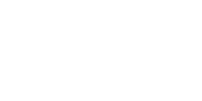 Visa Global Logistics